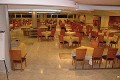 Kaktus Albir(   )